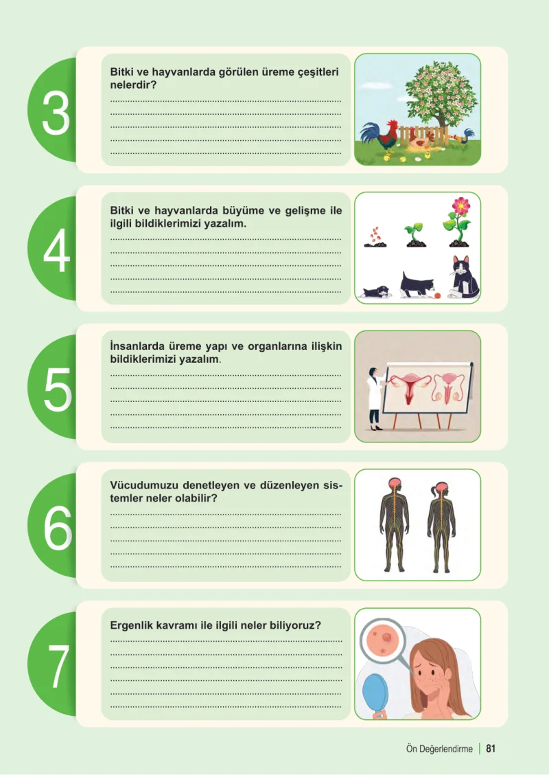 6. Sınıf Fen Bilimleri Ders Kitabı Cevapları Meb Yayınları 1. Kitap Sayfa 81