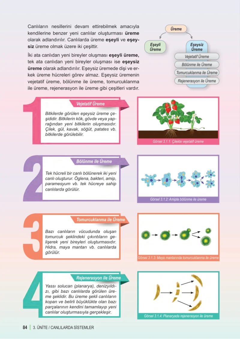 6. Sınıf Fen Bilimleri Ders Kitabı Cevapları Meb Yayınları 1. Kitap Sayfa 84