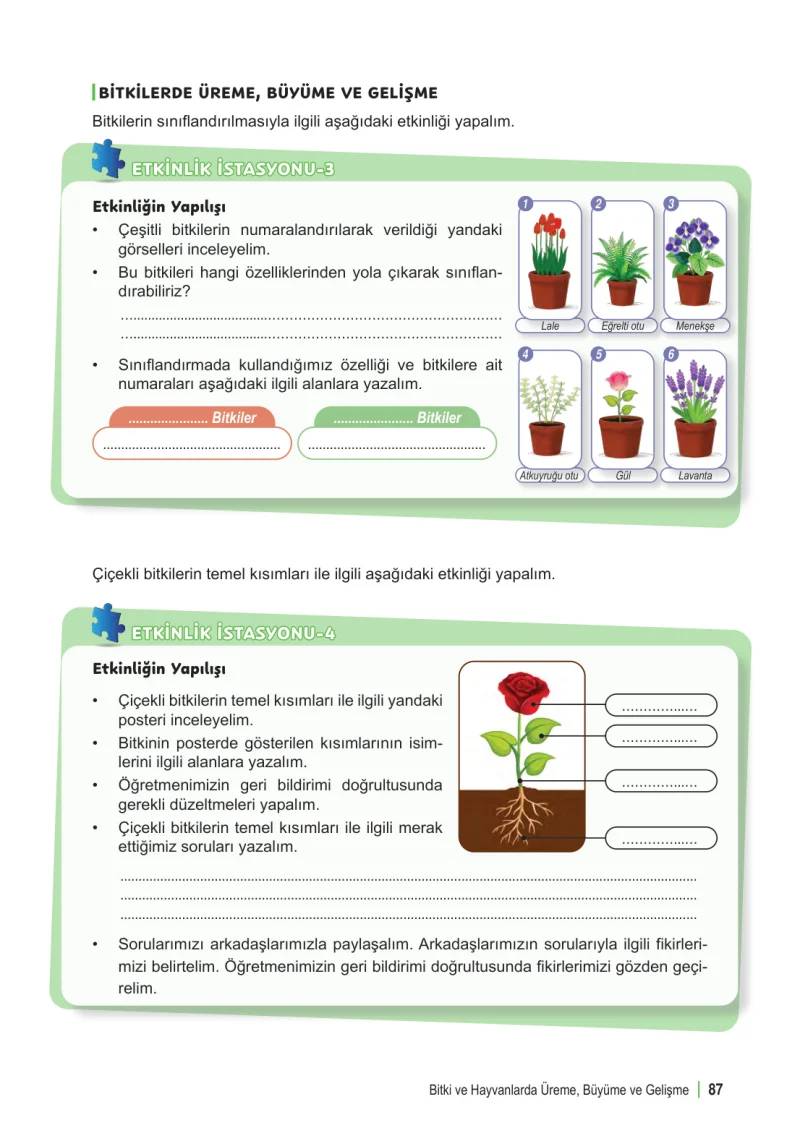 6. Sınıf Fen Bilimleri Ders Kitabı Cevapları Meb Yayınları 1. Kitap Sayfa 87