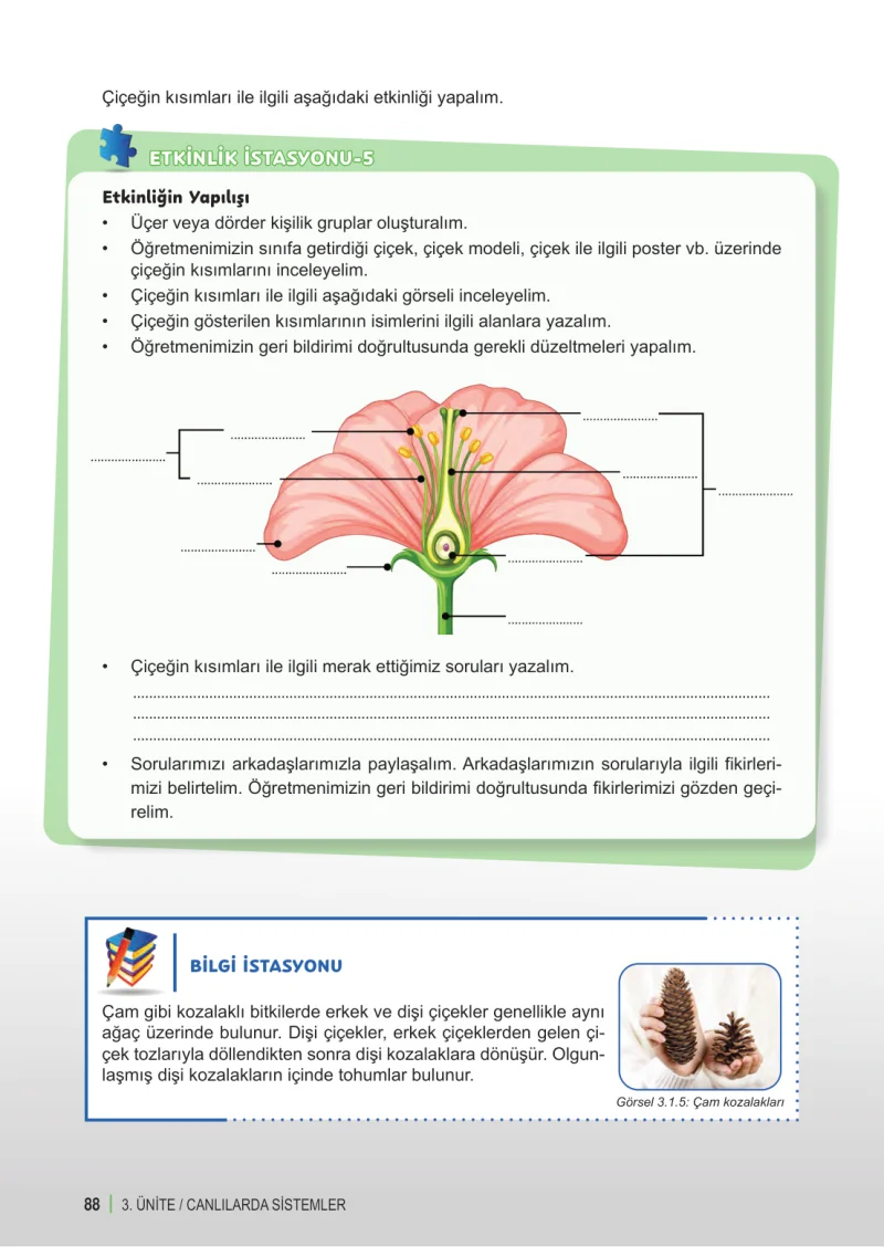 6. Sınıf Fen Bilimleri Ders Kitabı Cevapları Meb Yayınları 1. Kitap Sayfa 88