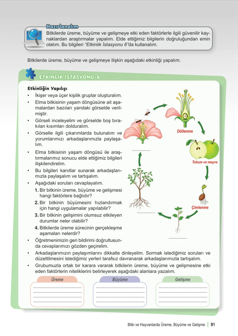 6. Sınıf Fen Bilimleri Ders Kitabı Cevapları Meb Yayınları 1. Kitap Sayfa 91