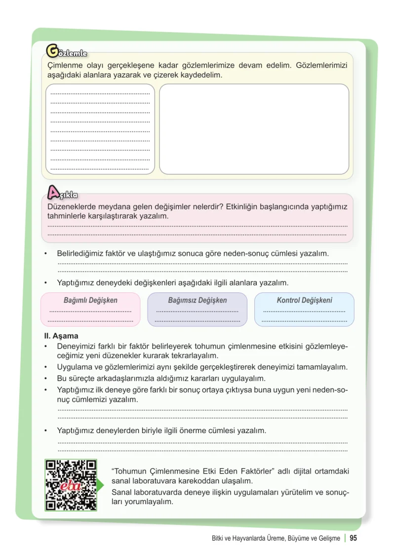 6. Sınıf Fen Bilimleri Ders Kitabı Cevapları Meb Yayınları 1. Kitap Sayfa 95