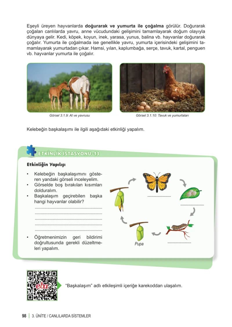 6. Sınıf Fen Bilimleri Ders Kitabı Cevapları Meb Yayınları 1. Kitap Sayfa 98