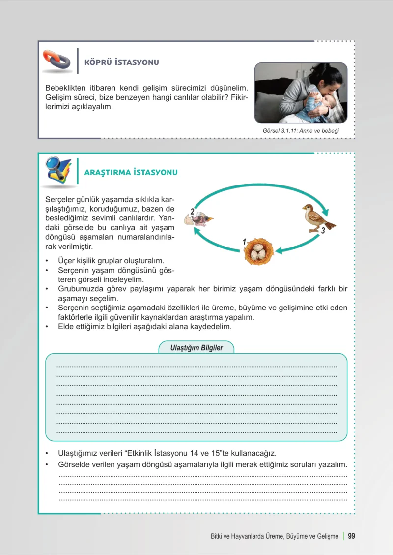 6. Sınıf Fen Bilimleri Ders Kitabı Cevapları Meb Yayınları 1. Kitap Sayfa 99
