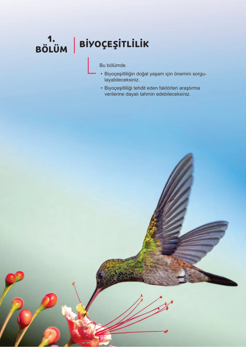 6. Sınıf Fen Bilimleri Ders Kitabı Cevapları Meb Yayınları 2. Kitap Sayfa 100