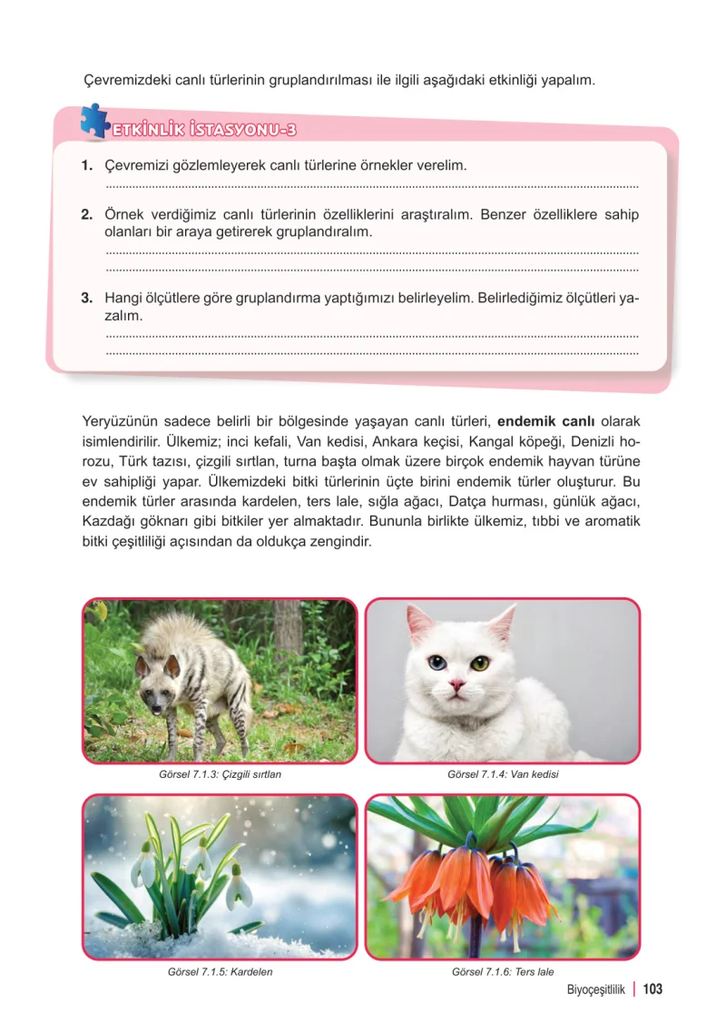 6. Sınıf Fen Bilimleri Ders Kitabı Cevapları Meb Yayınları 2. Kitap Sayfa 103