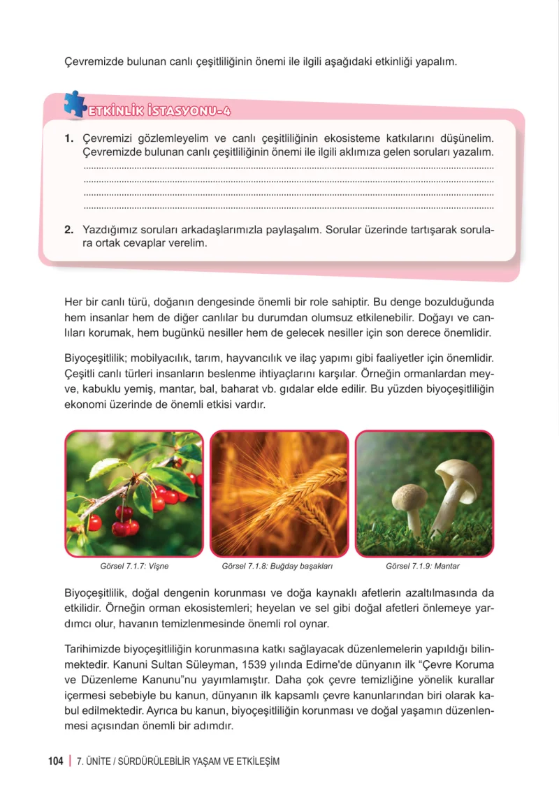 6. Sınıf Fen Bilimleri Ders Kitabı Cevapları Meb Yayınları 2. Kitap Sayfa 104