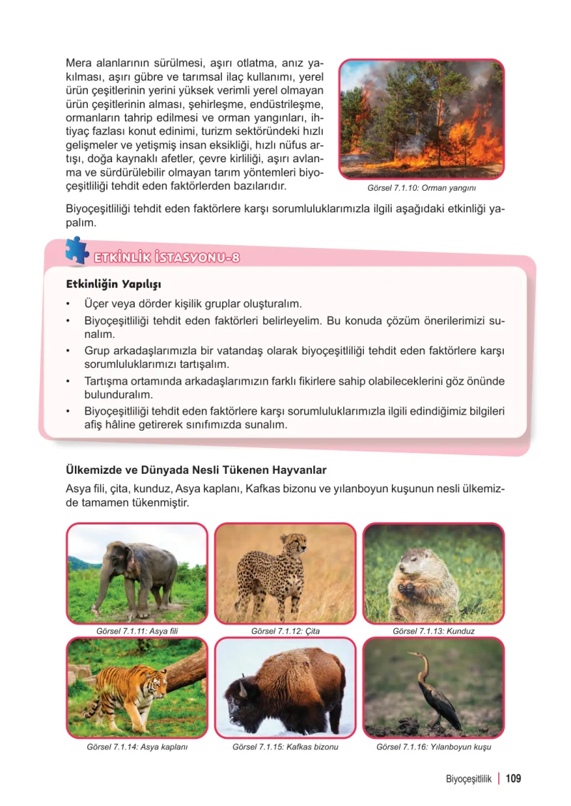 6. Sınıf Fen Bilimleri Ders Kitabı Cevapları Meb Yayınları 2. Kitap Sayfa 109