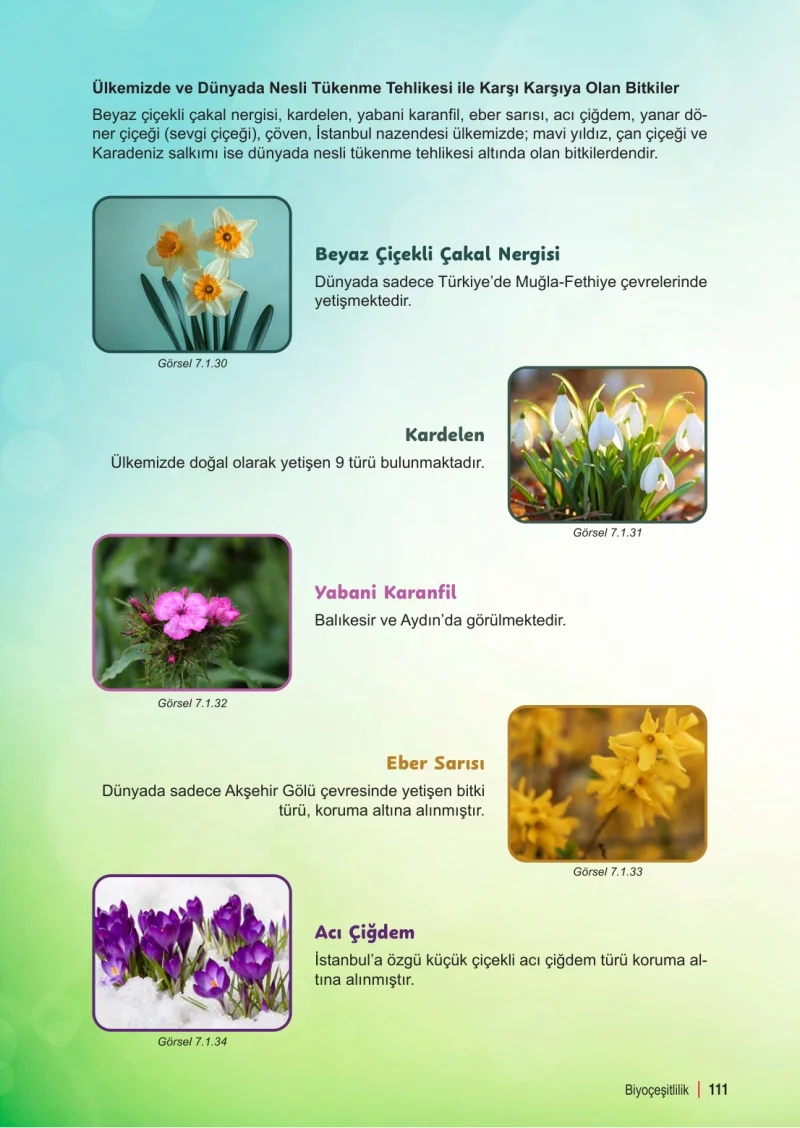 6. Sınıf Fen Bilimleri Ders Kitabı Cevapları Meb Yayınları 2. Kitap Sayfa 111
