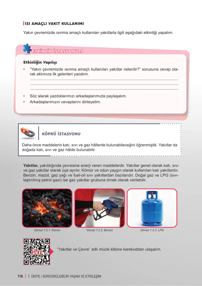 6. Sınıf Fen Bilimleri Ders Kitabı Cevapları Meb Yayınları 2. Kitap Sayfa 116