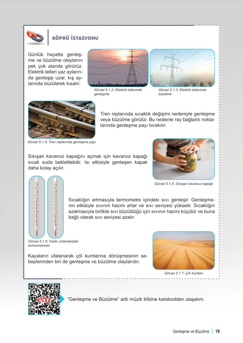 6. Sınıf Fen Bilimleri Ders Kitabı Cevapları Meb Yayınları 2. Kitap Sayfa 19