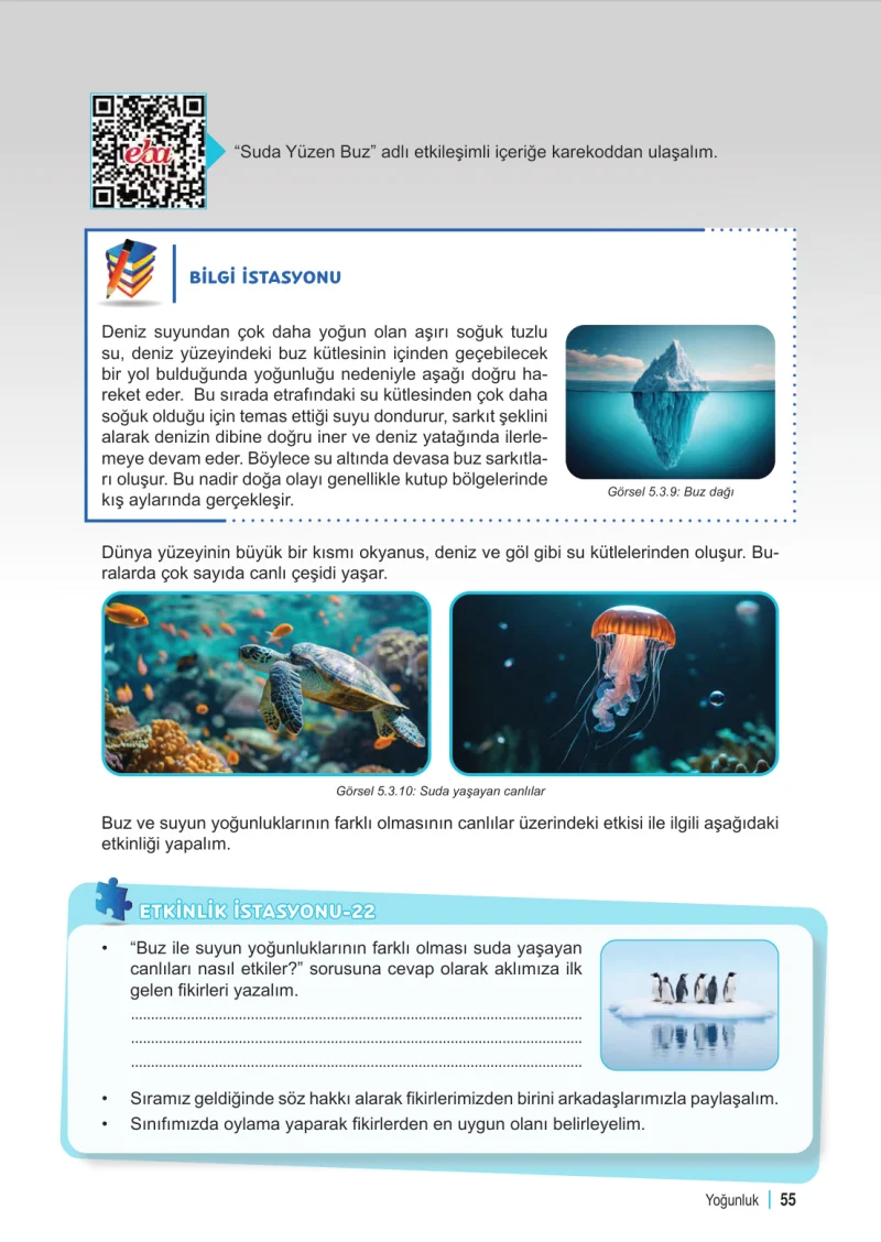 6. Sınıf Fen Bilimleri Ders Kitabı Cevapları Meb Yayınları 2. Kitap Sayfa 55