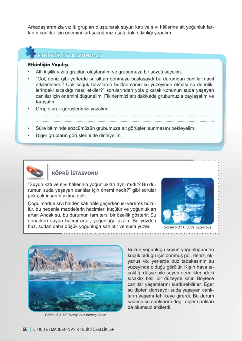 6. Sınıf Fen Bilimleri Ders Kitabı Cevapları Meb Yayınları 2. Kitap Sayfa 56