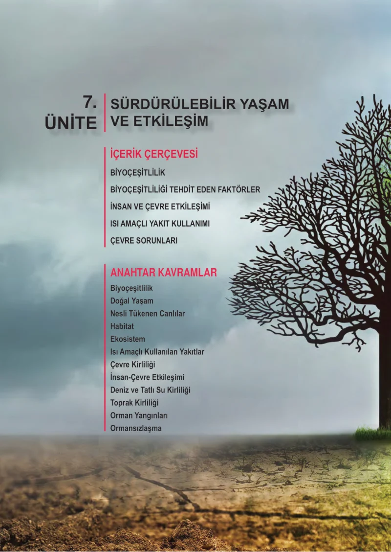 6. Sınıf Fen Bilimleri Ders Kitabı Cevapları Meb Yayınları 2. Kitap Sayfa 96
