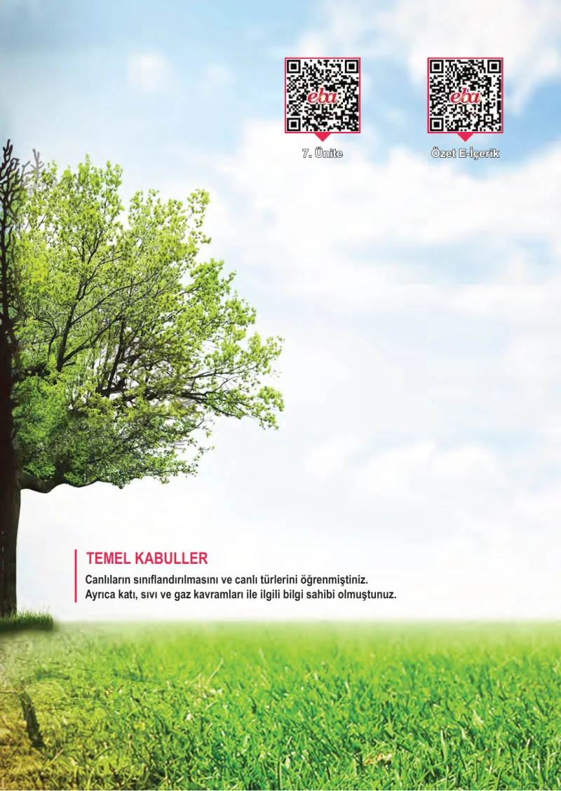 6. Sınıf Fen Bilimleri Ders Kitabı Cevapları Meb Yayınları 2. Kitap Sayfa 97