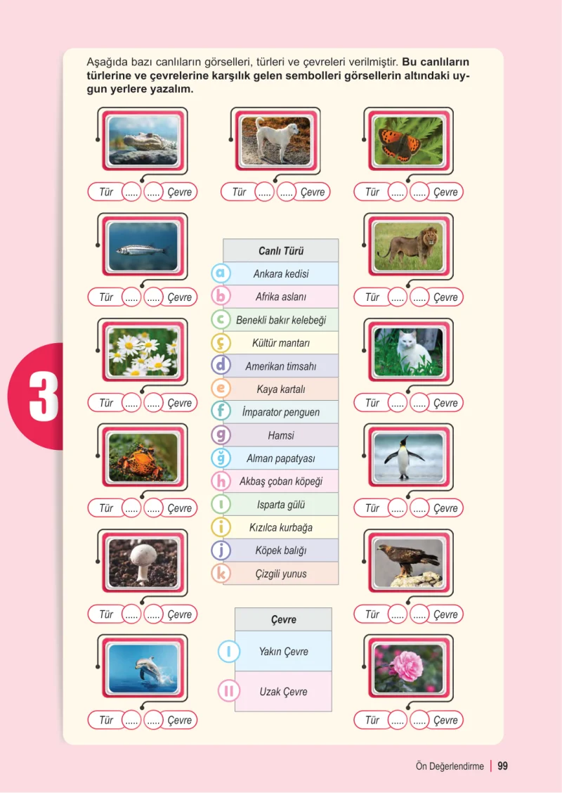 6. Sınıf Fen Bilimleri Ders Kitabı Cevapları Meb Yayınları 2. Kitap Sayfa 99