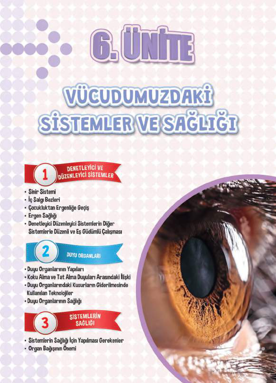 Kitap Sayfası