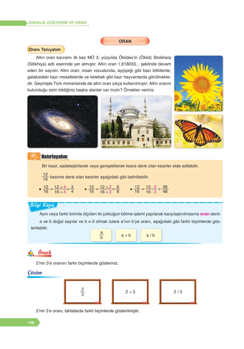 6. Sınıf Matematik Ders Kitabı Cevapları Ata Yayınları Sayfa 146