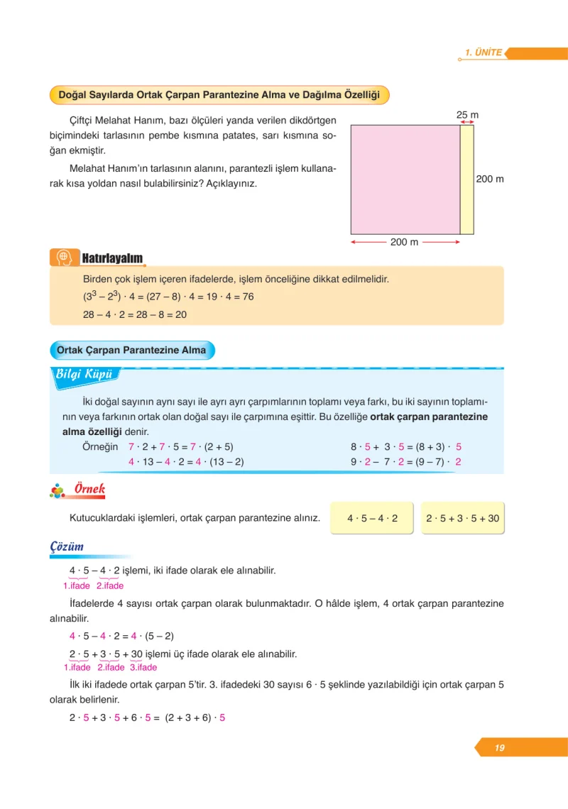 6. Sınıf Matematik Ders Kitabı Cevapları Ata Yayınları Sayfa 19