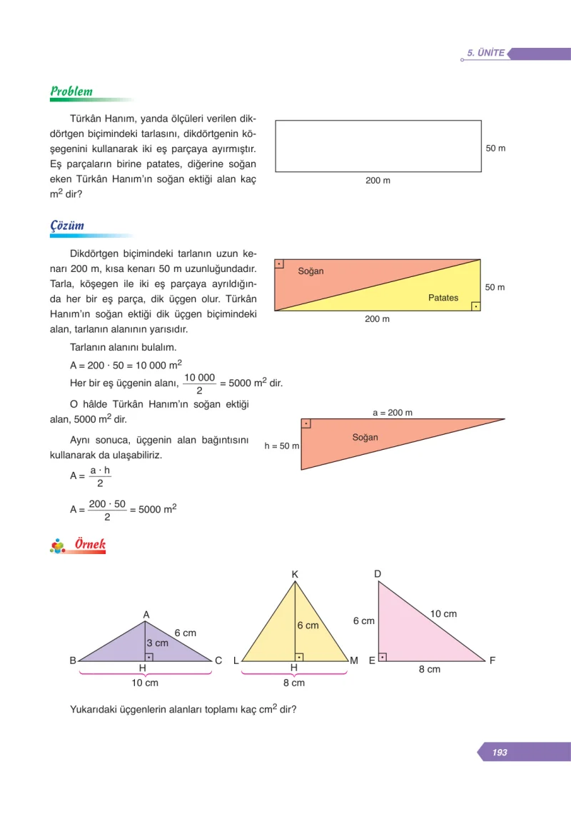 6. Sınıf Matematik Ders Kitabı Cevapları Ata Yayınları Sayfa 193