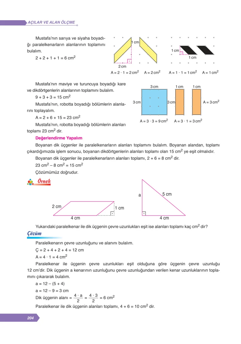 6. Sınıf Matematik Ders Kitabı Cevapları Ata Yayınları Sayfa 204