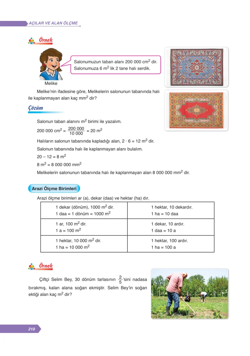 6. Sınıf Matematik Ders Kitabı Cevapları Ata Yayınları Sayfa 210