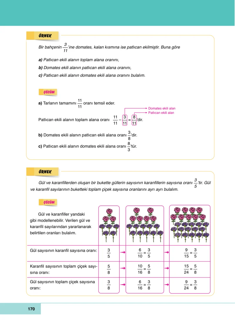 6. Sınıf Matematik Ders Kitabı Cevapları Doğa Yayınları Sayfa 170