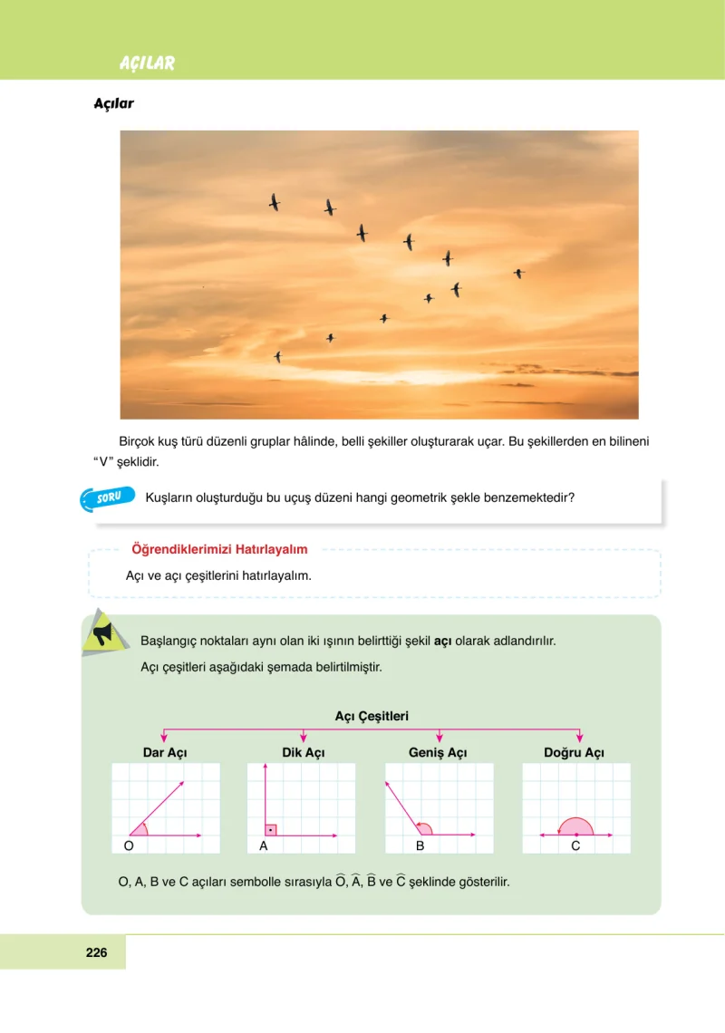 6. Sınıf Matematik Ders Kitabı Cevapları Doğa Yayınları Sayfa 226
