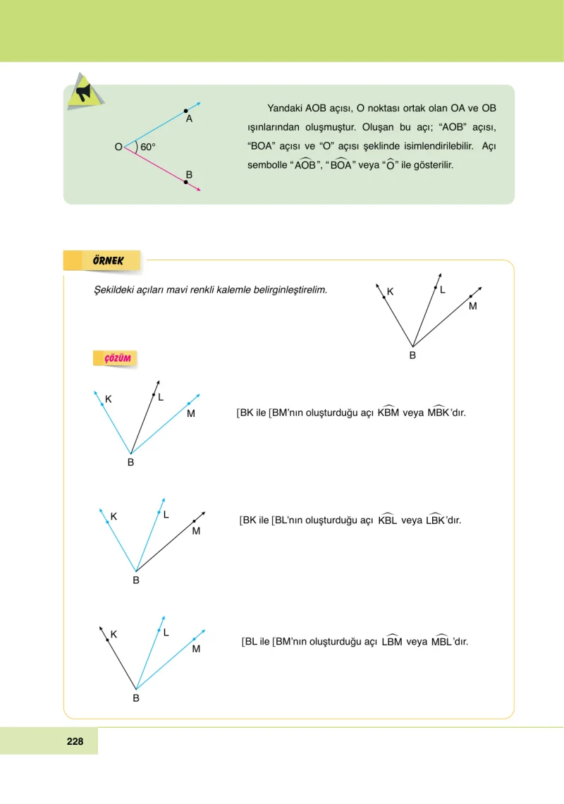 6. Sınıf Matematik Ders Kitabı Cevapları Doğa Yayınları Sayfa 228