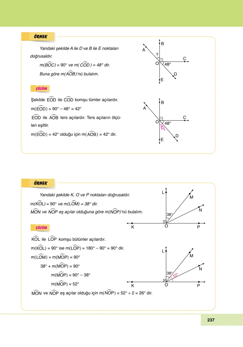 6. Sınıf Matematik Ders Kitabı Cevapları Doğa Yayınları Sayfa 237