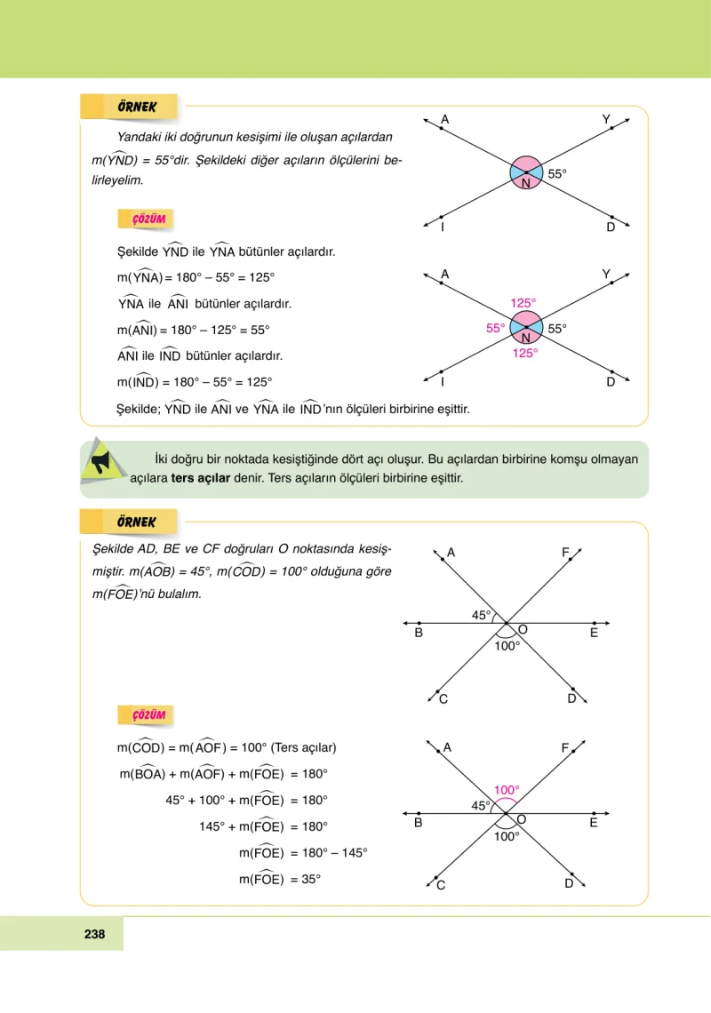 6. Sınıf Matematik Ders Kitabı Cevapları Doğa Yayınları Sayfa 238