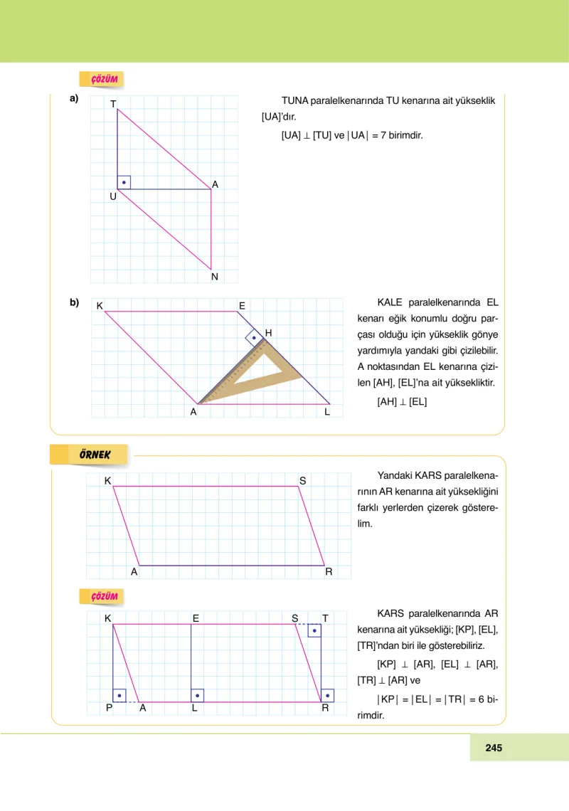 6. Sınıf Matematik Ders Kitabı Cevapları Doğa Yayınları Sayfa 245