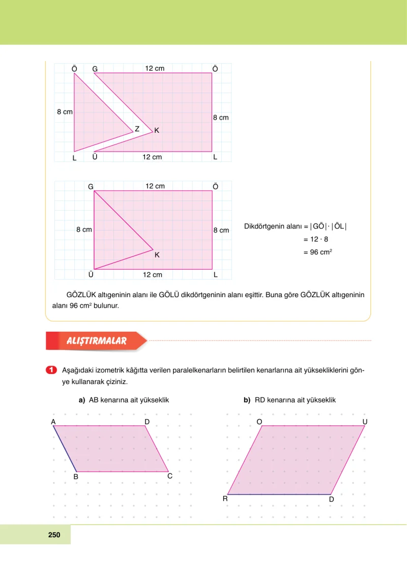 6. Sınıf Matematik Ders Kitabı Cevapları Doğa Yayınları Sayfa 250