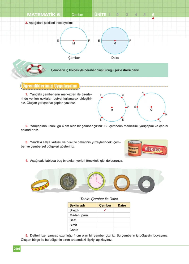 6. Sınıf Matematik Ders Kitabı Cevapları Koza Yayınları Sayfa 204