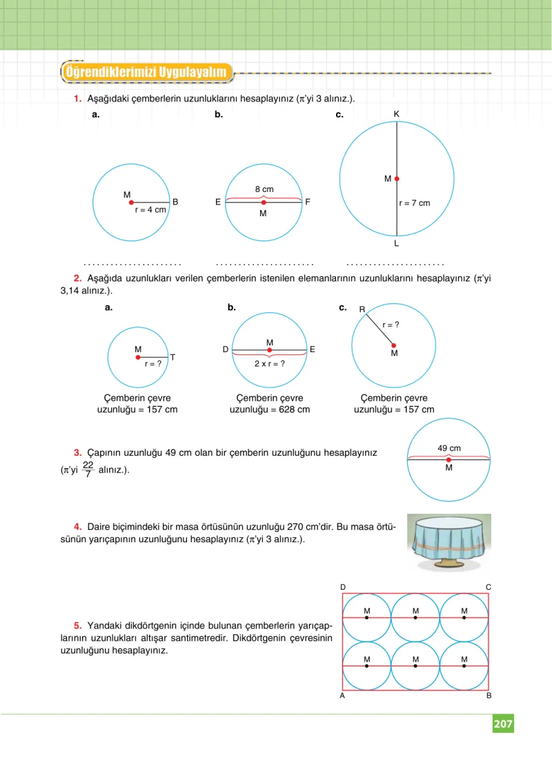 6. Sınıf Matematik Ders Kitabı Cevapları Koza Yayınları Sayfa 207