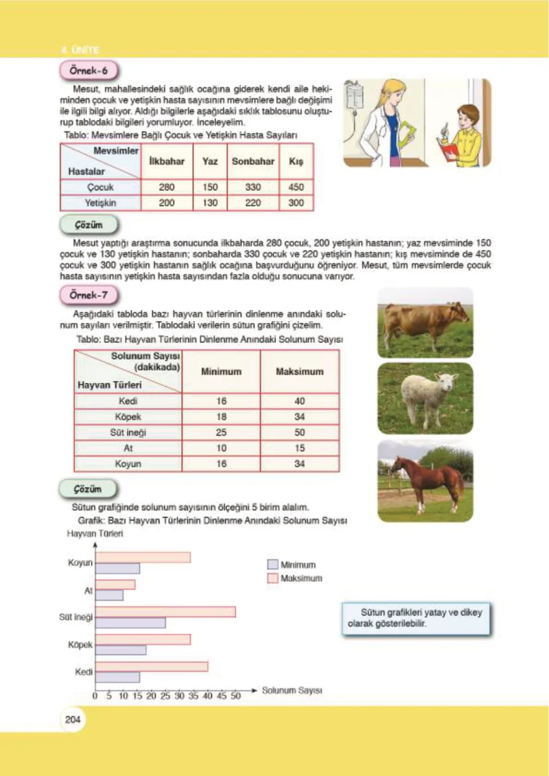 6. Sınıf Matematik Ders Kitabı Cevapları Öğün Yayınlar Sayfa 204