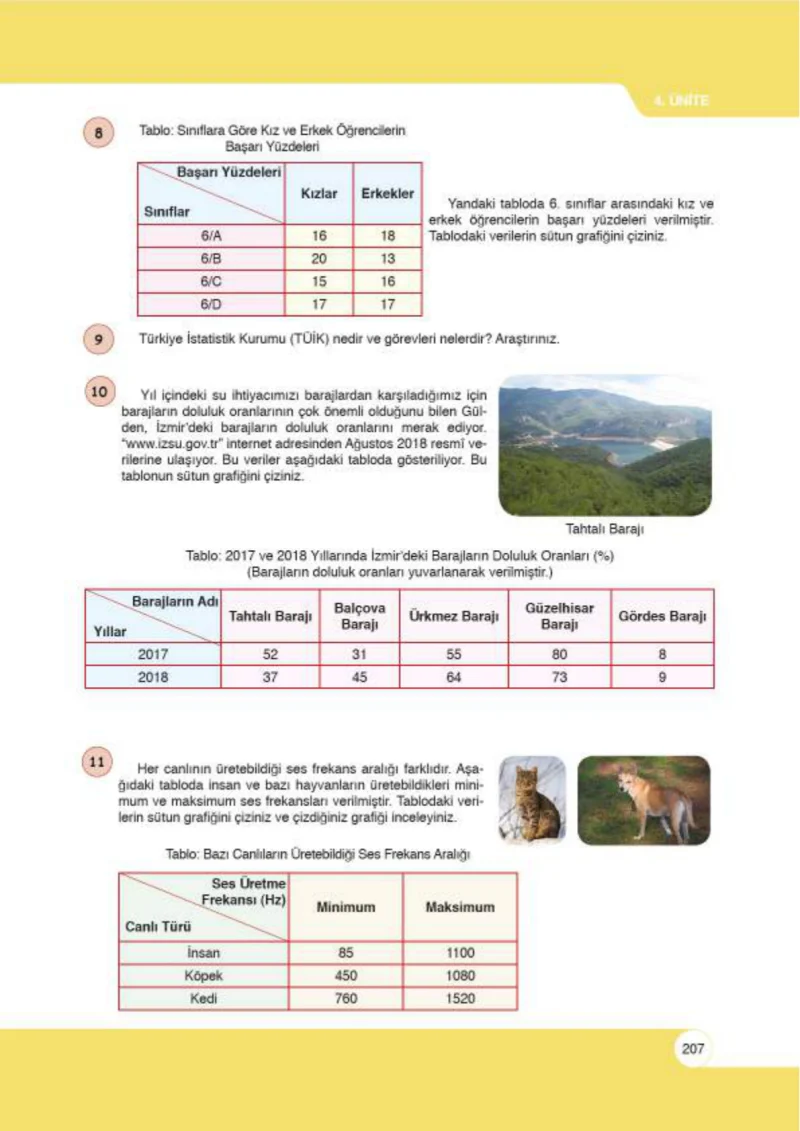 6. Sınıf Matematik Ders Kitabı Cevapları Öğün Yayınlar Sayfa 207