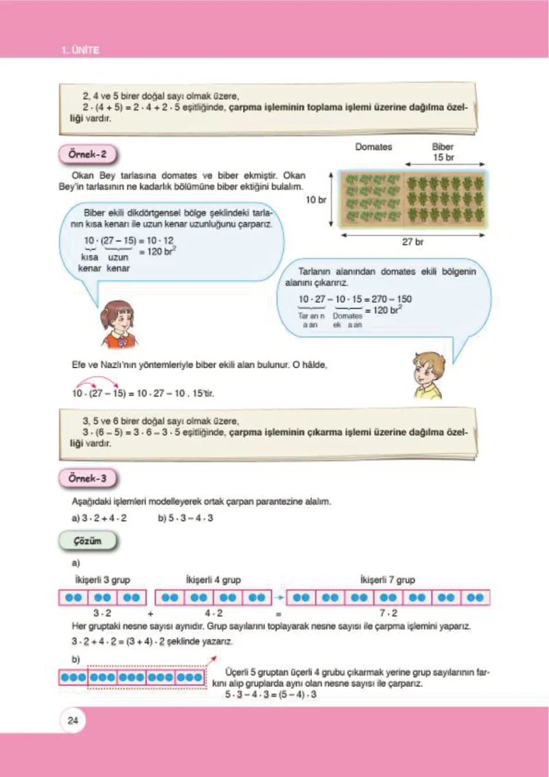 6. Sınıf Matematik Ders Kitabı Cevapları Öğün Yayınlar Sayfa 24
