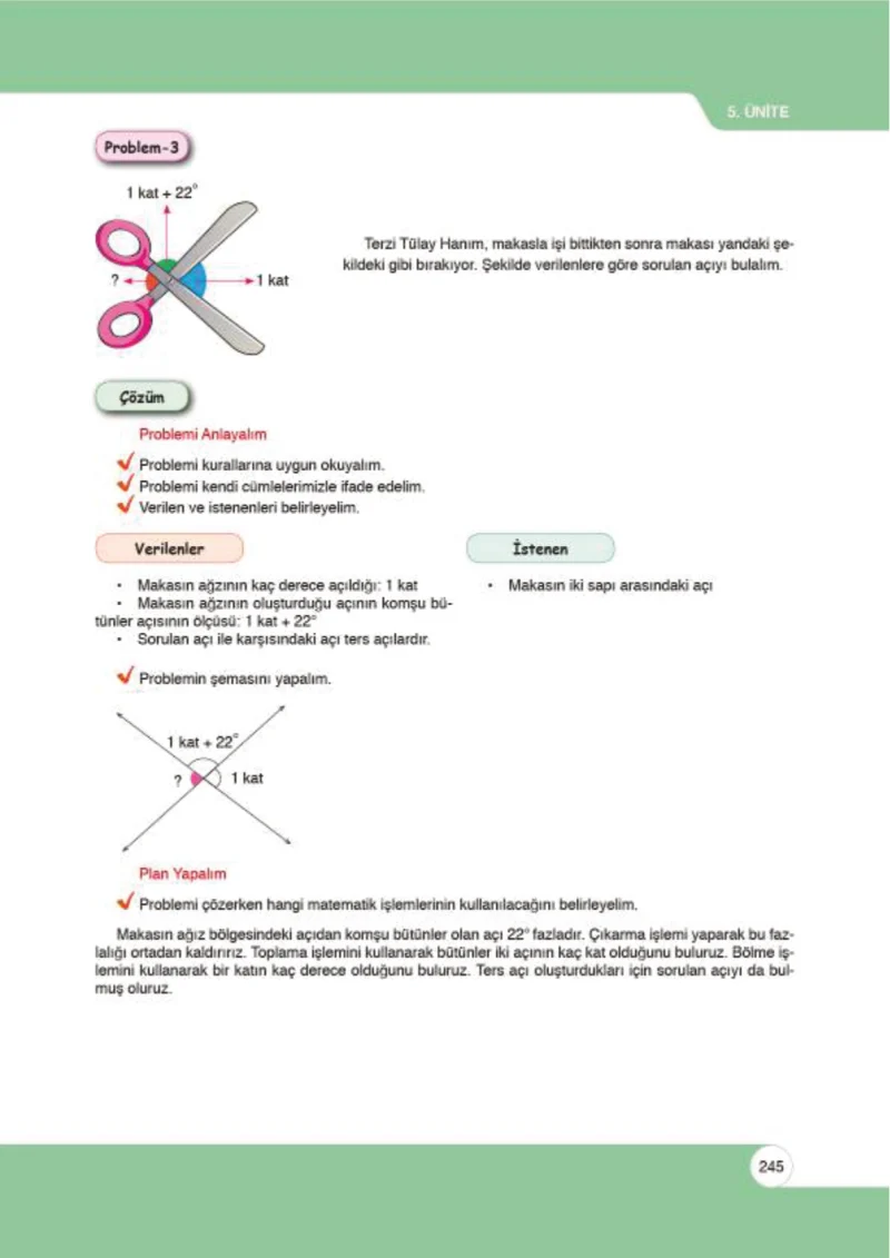 6. Sınıf Matematik Ders Kitabı Cevapları Öğün Yayınlar Sayfa 245