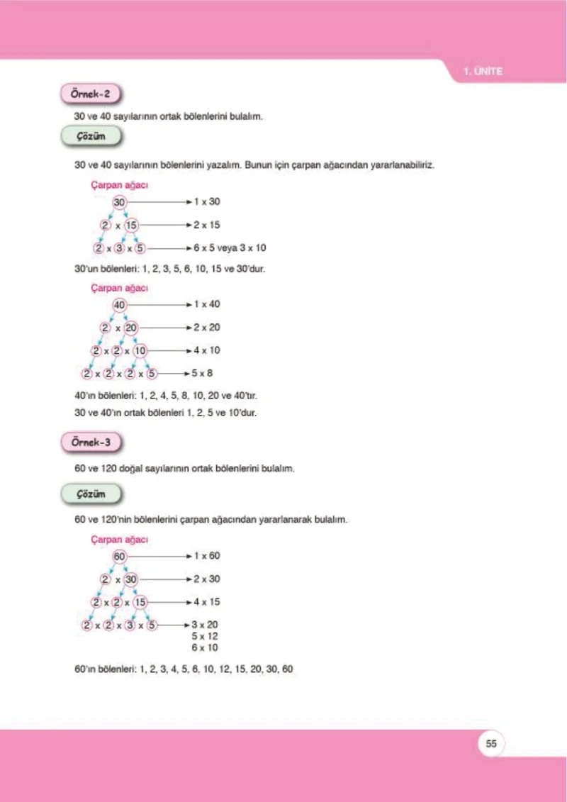 6. Sınıf Matematik Ders Kitabı Cevapları Öğün Yayınlar Sayfa 55