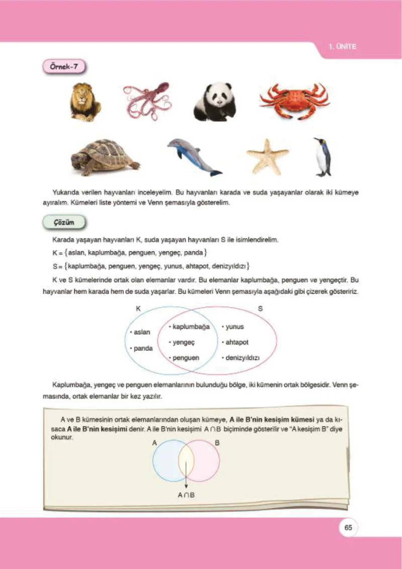 6. Sınıf Matematik Ders Kitabı Cevapları Öğün Yayınlar Sayfa 65