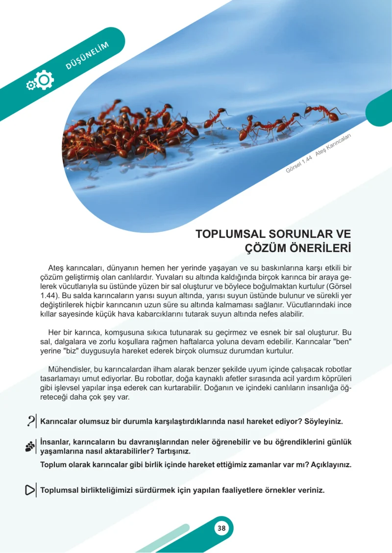6. Sınıf Sosyal Bilgiler Ders Kitabı Cevapları Meb Yayınları 1. Kitap Sayfa 38