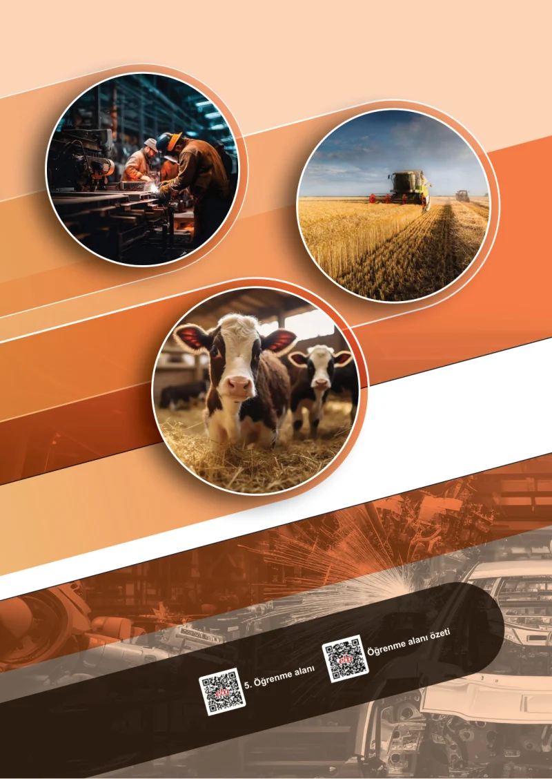 6. Sınıf Sosyal Bilgiler Ders Kitabı Cevapları Meb Yayınları 2. Kitap Sayfa 46