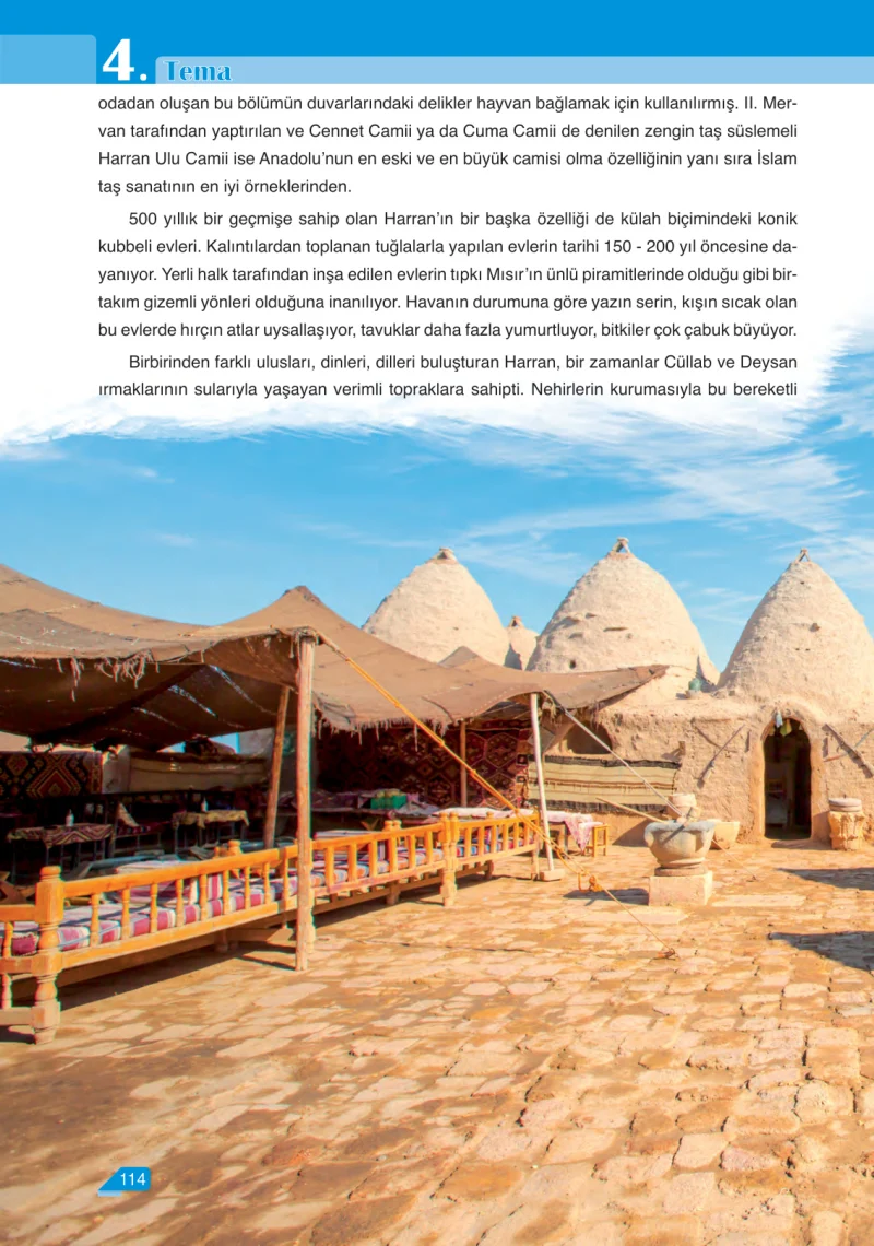 6. Sınıf Türkçe Ders Kitabı Cevapları Ata Yayınları Sayfa 114