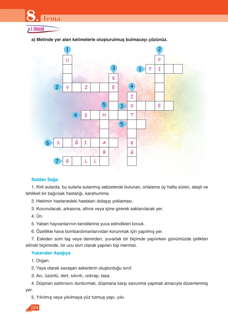 6. Sınıf Türkçe Ders Kitabı Cevapları Ata Yayınları Sayfa 224