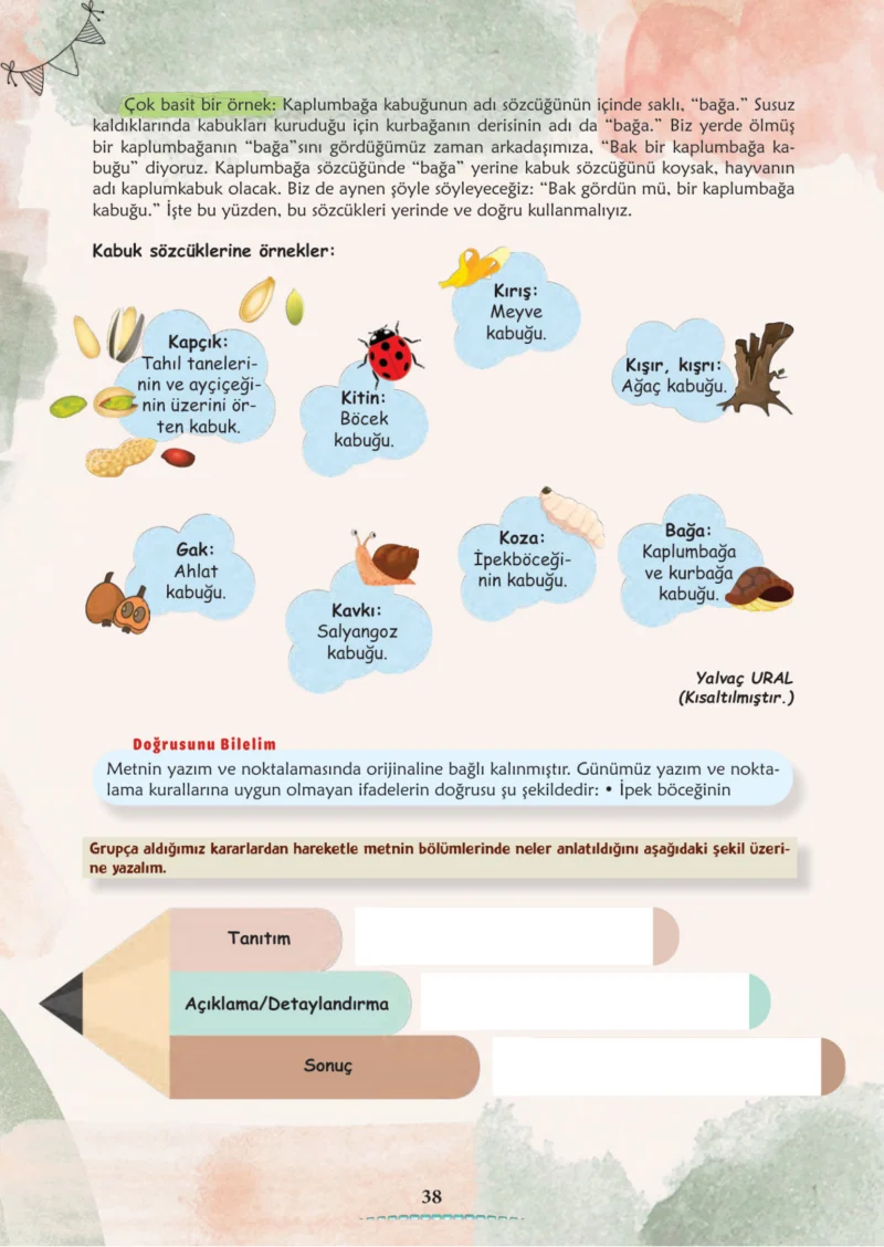 6. Sınıf Türkçe Ders Kitabı Cevapları Meb Yayınları 1. Kitap Sayfa 38