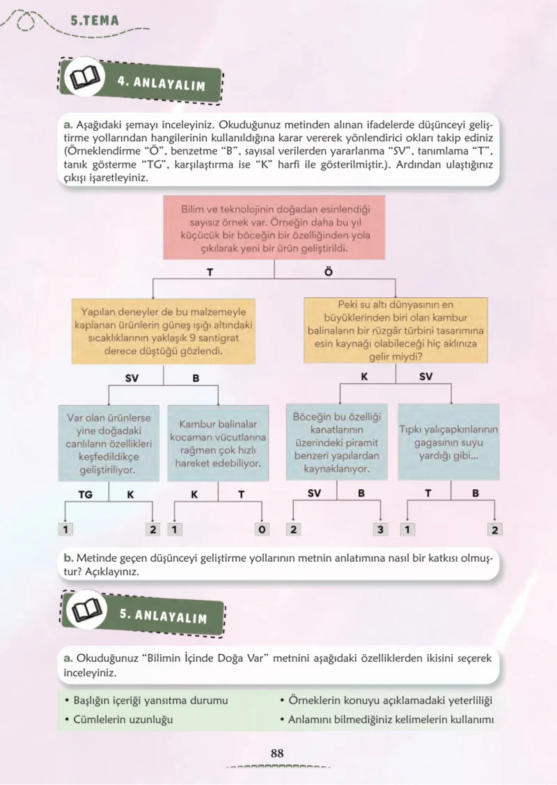 6. Sınıf Türkçe Ders Kitabı Cevapları Meb Yayınları 2. Kitap Sayfa 88