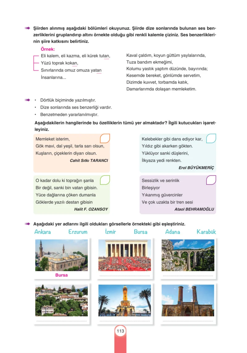 6. Sınıf Türkçe Ders Kitabı Cevapları Yıldırım Yayınları Sayfa 113