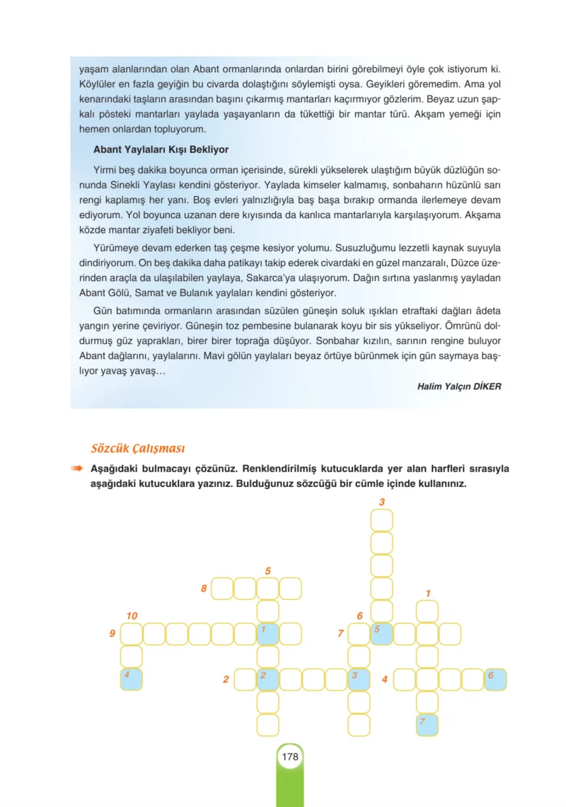 6. Sınıf Türkçe Ders Kitabı Cevapları Yıldırım Yayınları Sayfa 178