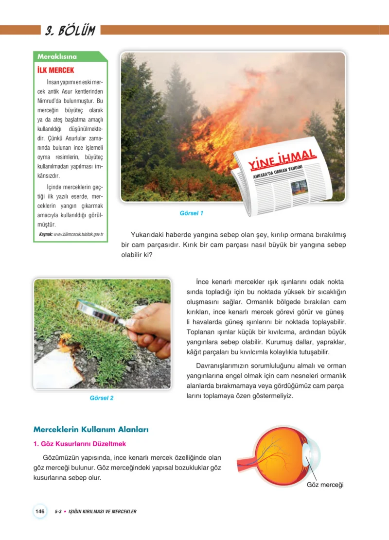 7. Sınıf Fen Bilimleri Ders Kitabı Cevapları Aydın Yayınları Sayfa 146
